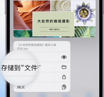 海丰apple维修中心分享iPhone文件应用中存储和找到下载文件