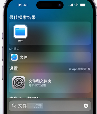 海丰apple维修中心分享iPhone文件应用中存储和找到下载文件