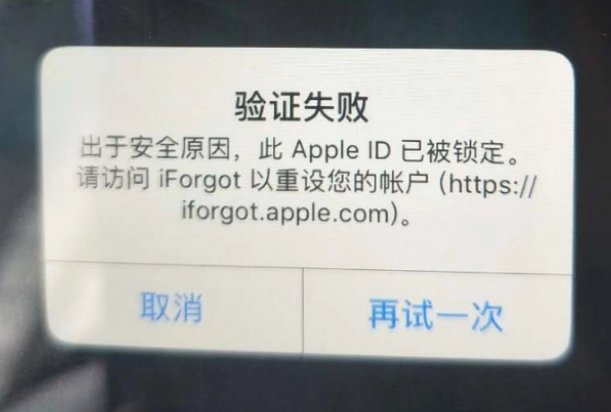 海丰iPhone维修分享iPhone上正常登录或使用AppleID怎么办 