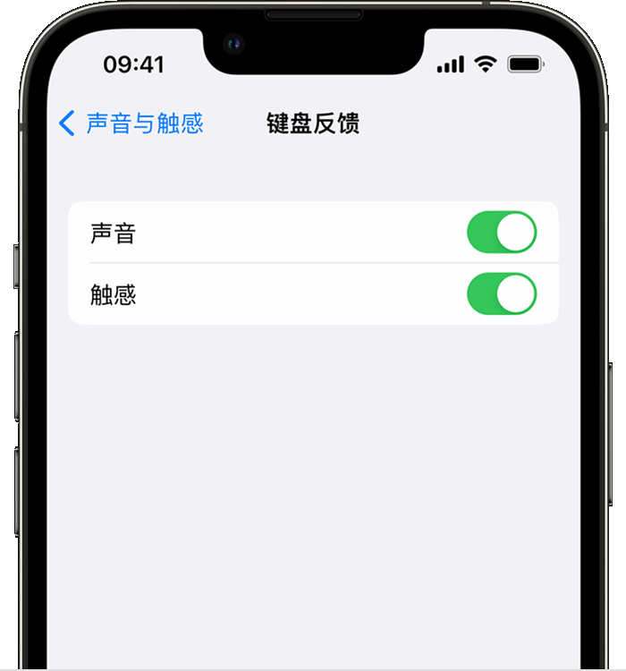 海丰苹果14维修店分享如何在 iPhone 14 机型中使用触感键盘 