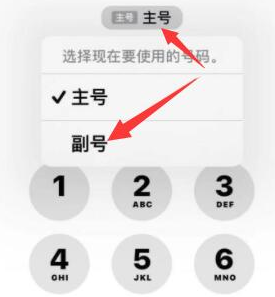 海丰苹果14维修店分享iPhone 14 Pro Max使用副卡打电话的方法 