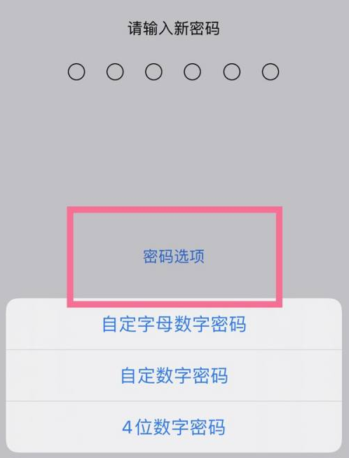 海丰苹果14维修分享iPhone 14plus设置密码的方法 