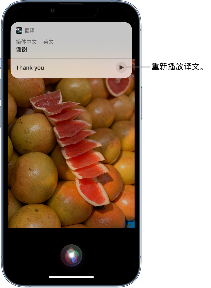 海丰苹果14维修分享 iPhone 14 机型中使用 Siri：了解 Siri 能帮你做什么 