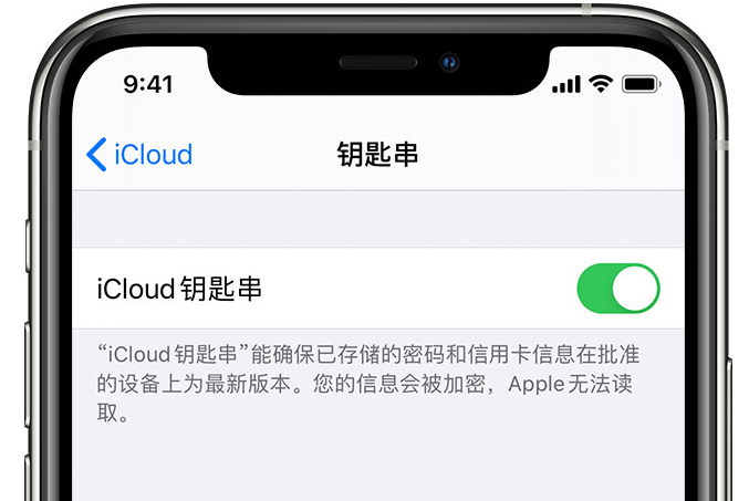 海丰苹果手机维修分享在 iPhone 上开启 iCloud 钥匙串之后会储存哪些信息 