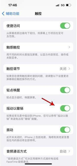 海丰苹果手机维修分享iPhone手机如何设置摇一摇删除文字 